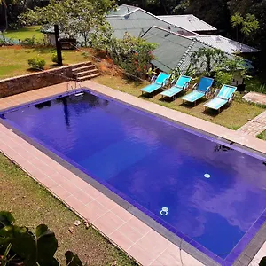 https://clove-garden-hotel.negombohotels.net