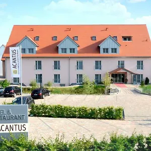 Acantus , Weisendorf Duitsland